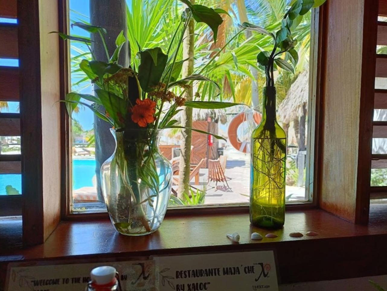 Holbox By Xaloc Hotel Kültér fotó